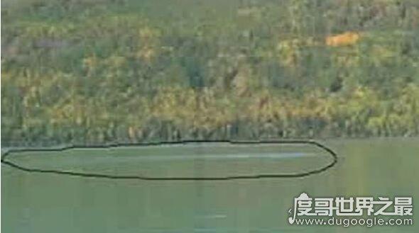 新疆喀纳斯湖水怪真相之谜，乃长达10米的巨型哲罗鲑