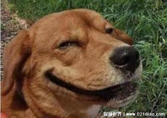 网络用语ex是什么意思，可以用来骂人也可以用来指前任