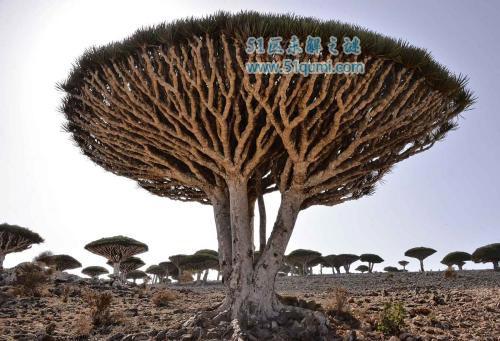 探秘地球至今未解的三大未解之谜，最后一个竟十分雄伟