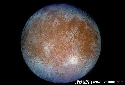 哪个星球上有生命存在的迹象，没有发现(木卫二星球的可能性最大)