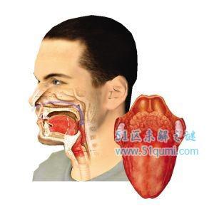 咬舌自尽真的会死吗?揭秘咬舌自尽真相你被骗了吗?