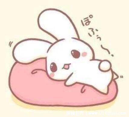 兔子头像暗示什么,四大原因(内心可爱的人才会用的头像)
