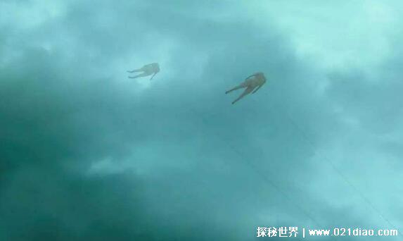 五年级最恐怖的课文，把人当成风筝在天上放(只是巧合)