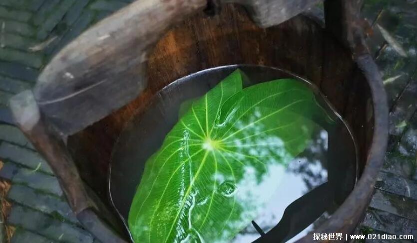 七夕2021年几月几号星期几，阳历8月14农历7月初7(星期六)