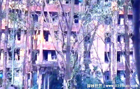 红太阳幼儿园废弃真相，没有生源被迫关闭(并非有诡异事件)