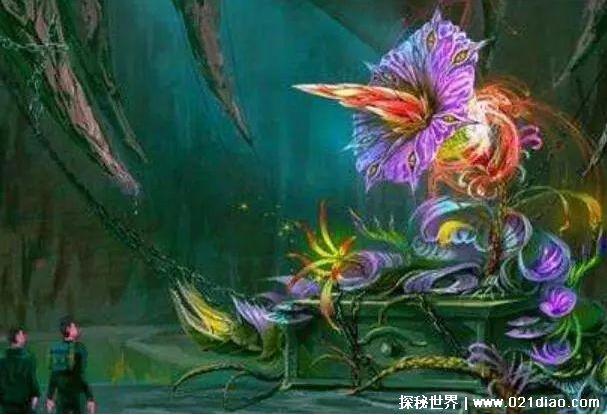 鬼吹灯尸香魔芋花真的存在吗，真实存在(7年才开一次花)