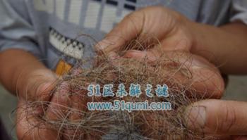 神农架野人之谜 野人传说真相震惊所有人