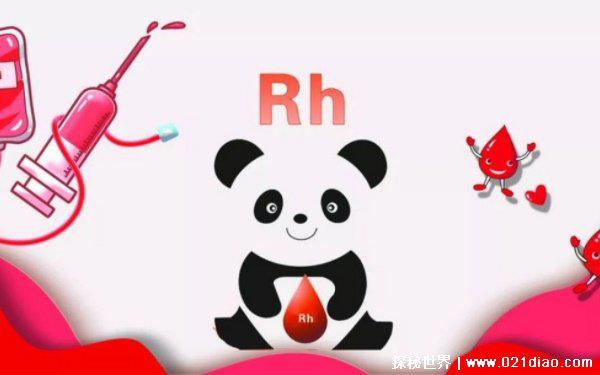十二星座谁是熊猫血，都有可能(熊猫血千金难求)