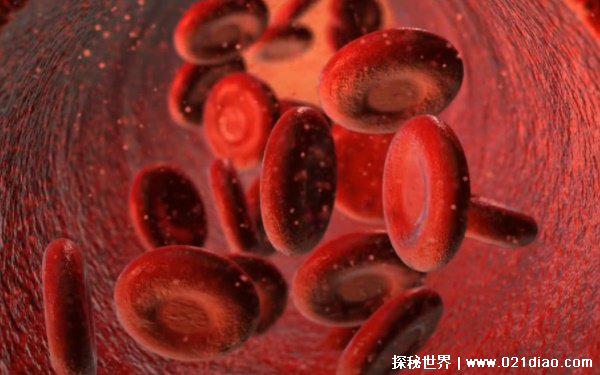 十二星座谁是熊猫血，都有可能(熊猫血千金难求)