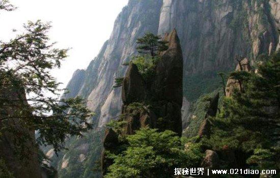 语文书上的诡异照片,有人说发现插图中有鬼(真相其实是这样)