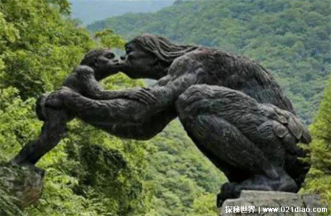 神农架猴娃之谜揭秘,人与野人杂交的后代(野人的存在)