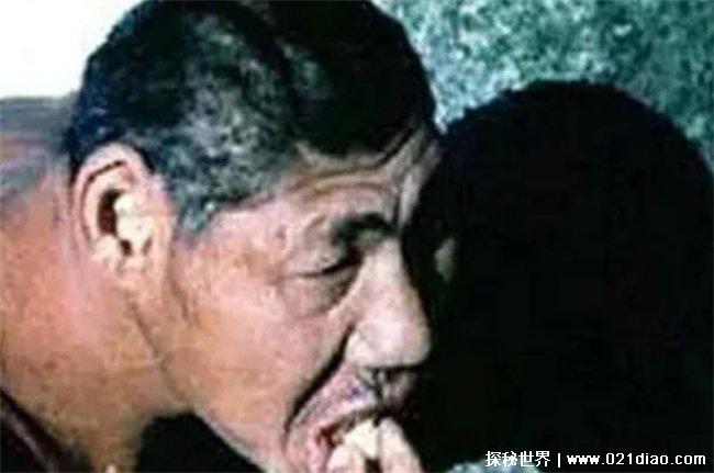 神农架猴娃之谜揭秘,人与野人杂交的后代(野人的存在)