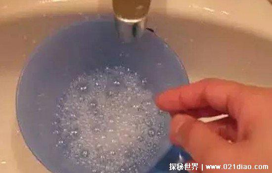 蚂蚁的天敌是什么动物,食蚁兽一次能吃近万只蚂蚁