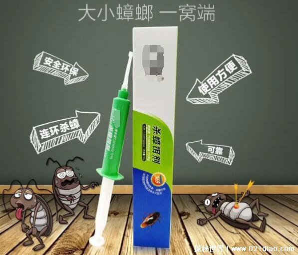 蚂蚁的天敌是什么动物,食蚁兽一次能吃近万只蚂蚁