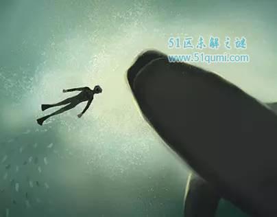 世界上最孤独的鲸鱼 “52赫兹“也许并不孤独
