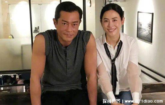 古天乐宣布宣萱怀孕了,并没有(但两人有计划一起做试管婴儿)