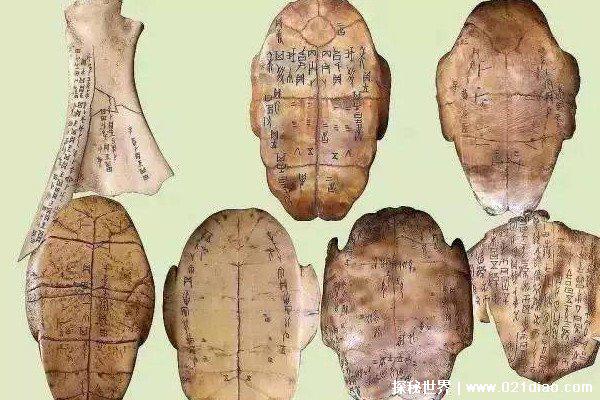 汉字演变过程时间排序正确的是什么，最早是甲骨文最后是行书