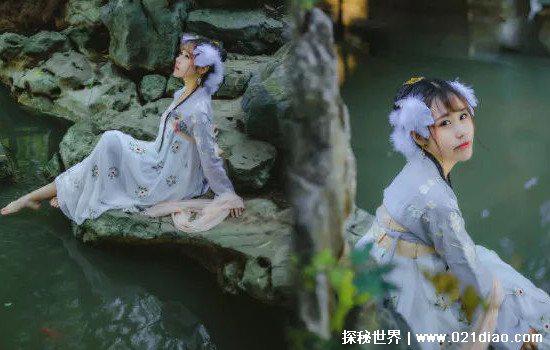 东北五大仙是什么动物都擅长什么，狐黄白柳灰个个都神通广大