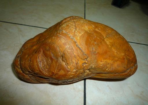 人类是外星人创造的?答案令人震惊