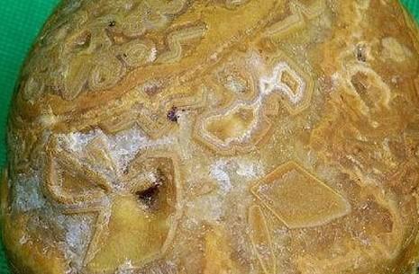 人类是外星人创造的?答案令人震惊