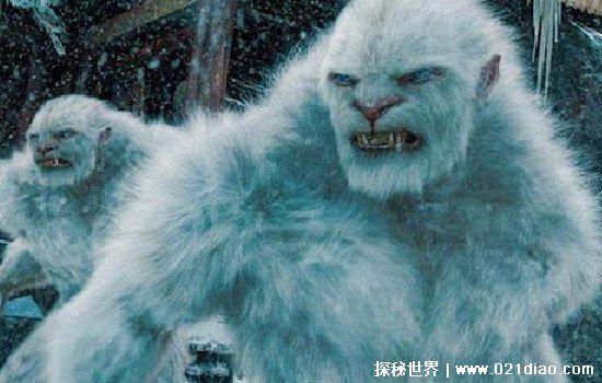 喜马拉雅山雪怪真的存在吗，多次发现踪迹(但无法证实生物类别)