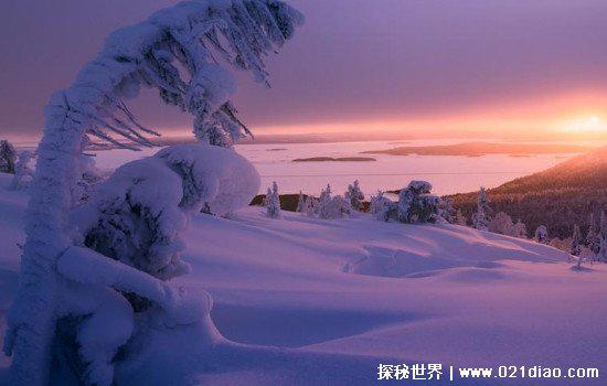 喜马拉雅山雪怪真的存在吗，多次发现踪迹(但无法证实生物类别)