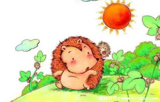 公认的十大虐心小说，苍耳/蚀骨危情/白色橄榄树直击心灵的脆弱