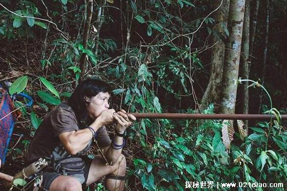 世界十大禁用暗器，梅花袖箭可以连续发射/百发百中