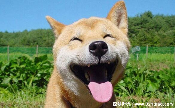 30个笑掉大牙的笑话,逗人笑的停不下来的幽默小段子