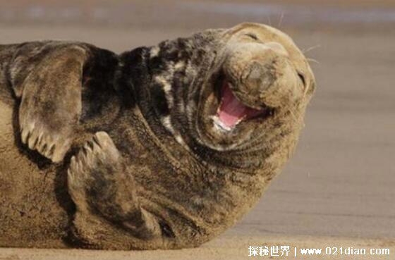 30个笑掉大牙的笑话,逗人笑的停不下来的幽默小段子