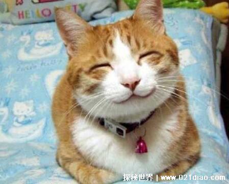 30个笑掉大牙的笑话，逗人笑的停不下来的幽默小段子