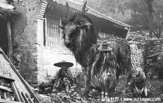 一男子抓到一只龙,已经杀死炖了吃了(假的图片都是P的)