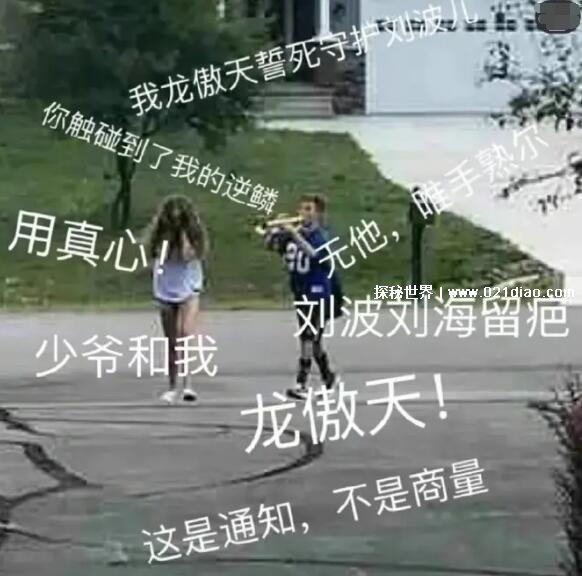 傲天体是什么梗,中二的霸道总裁体质(出自喜剧大赛2)