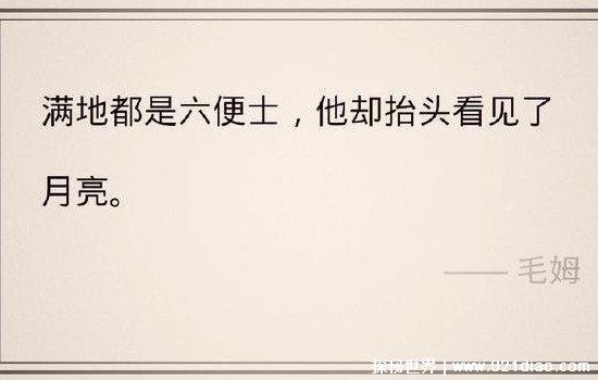 六便士和月亮是什么梗抖音，寓意有些人为了追求理想不顾现实