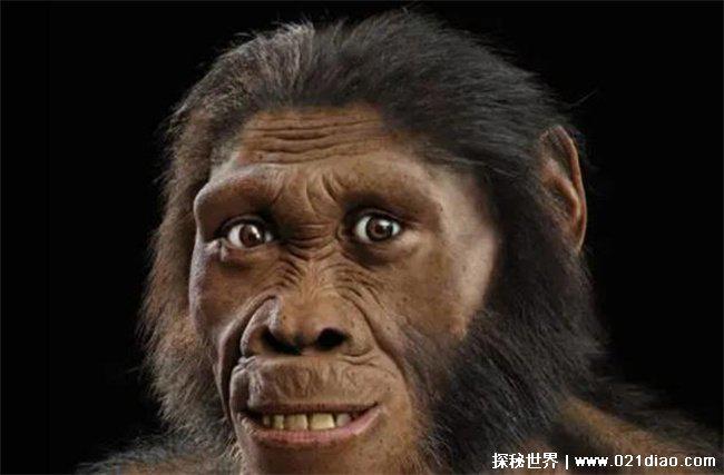 人类会有下一次进化吗，还会继续进化(占领地球)