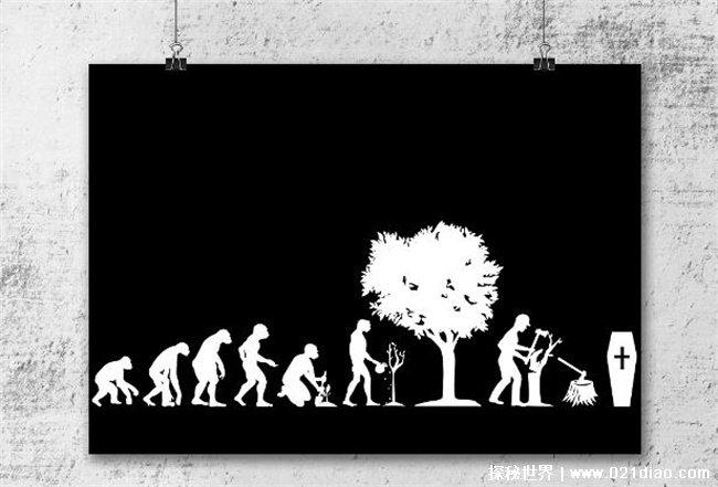 人类会有下一次进化吗，还会继续进化(占领地球)