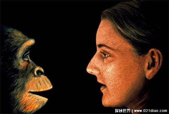 人类会有下一次进化吗，还会继续进化(占领地球)