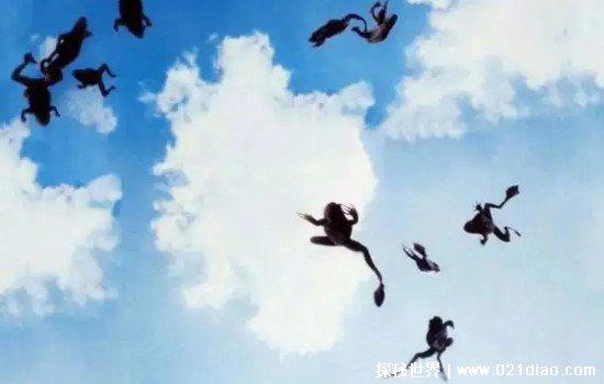 青蛙雨真的存在吗，真的存在(龙卷风携带青蛙造成的)