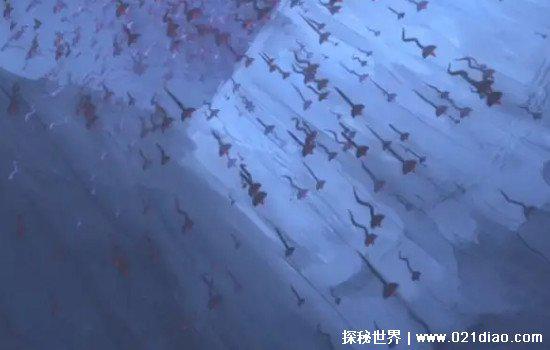 青蛙雨真的存在吗，真的存在(龙卷风携带青蛙造成的)