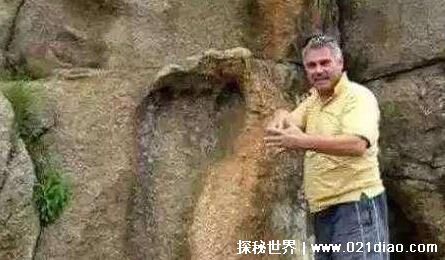 5个被拍到的巨人,曾在飞机上拍到巨人的图片(疑似外星巨人)