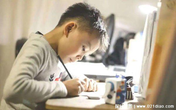 把作业撕了犯法吗 作业撕了不违法(但可追诉物权法)