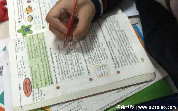 把作业撕了犯法吗 作业撕了不违法(但可追诉物权法)