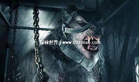 世界上真的有狼人吗，有(但不是我们以为的狼人)