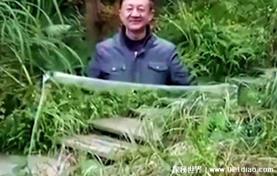 世界上真有隐身衣吗，真的有(科学家已经有了相关研究成果)