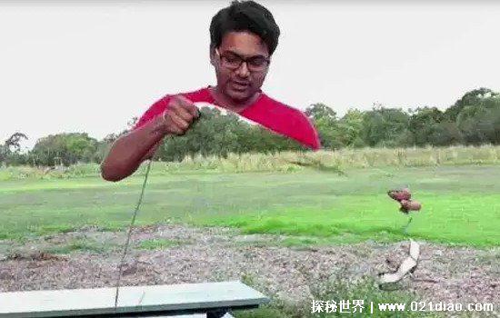 世界上真有隐身衣吗，真的有(科学家已经有了相关研究成果)