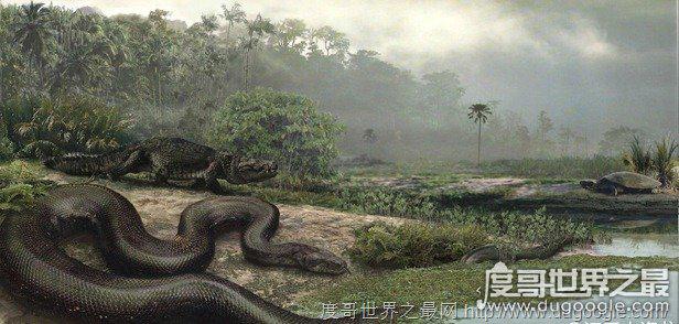现今世界最大蟒蛇,亚马逊巨蟒(史上最大蟒蛇塞雷洪泰坦蟒)