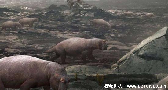 人类一共灭绝了几次，4次(我们正在经历第五次灭绝)