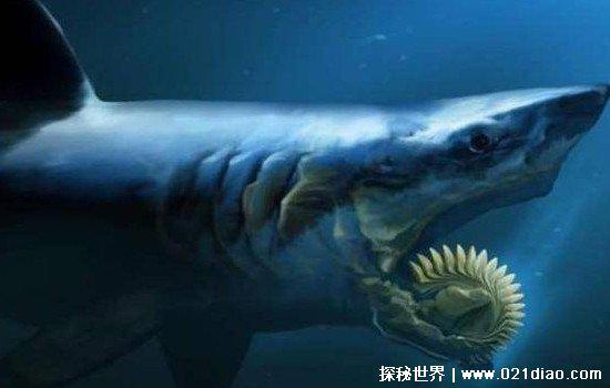 已经灭绝的旋齿鲨有天敌吗，两亿年前海洋霸主(复原图片长这样)