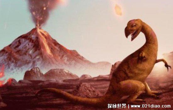 第五次生物大灭绝的主要物种有哪些？除了恐龙还有这些