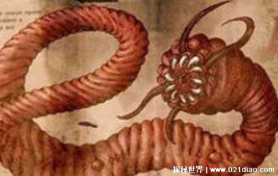 蒙古死亡蠕虫真的存在吗,一些科学家认为存在(还有人亲眼见过)